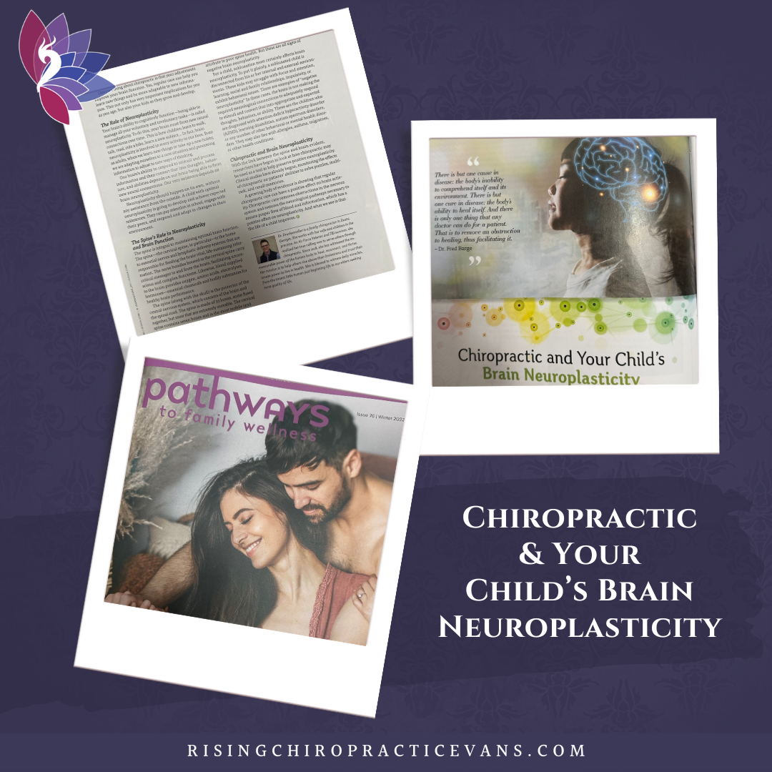 Chiropractic and Your Child’s Brain Neuroplasticity By Beth Druckenmiller, DC