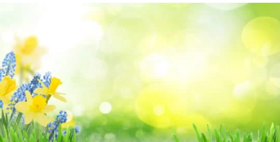 before you plant those flowers, lace up your hiking boots, or hit the tennis court, consider how your spine is supporting you