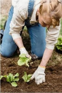 before you plant those flowers, lace up your hiking boots, or hit the tennis court, consider how your spine is supporting you