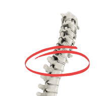 The Chiropractic Approach