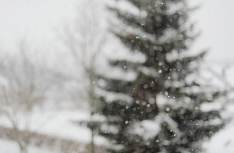 Blessings & Gratitude as We Close 2025 A Message to Our Rising Chiropractic Family 