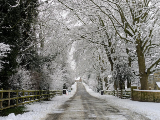 Blessings & Gratitude as We Close 2025 A Message to Our Rising Chiropractic Family 