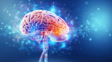 After a Concussion: Why the Spine Matters for Brain Recovery
